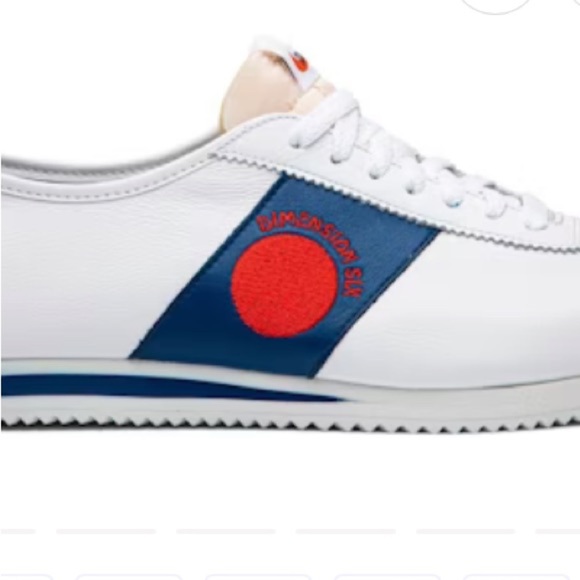 Nike Classic Cortez \'72 QS \'Shoe Dog Pack Dimension Six\' size 5 men’s $400 rare main image 9